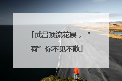 武昌顶流花展，“荷”你不见不散
